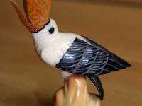 Tucano